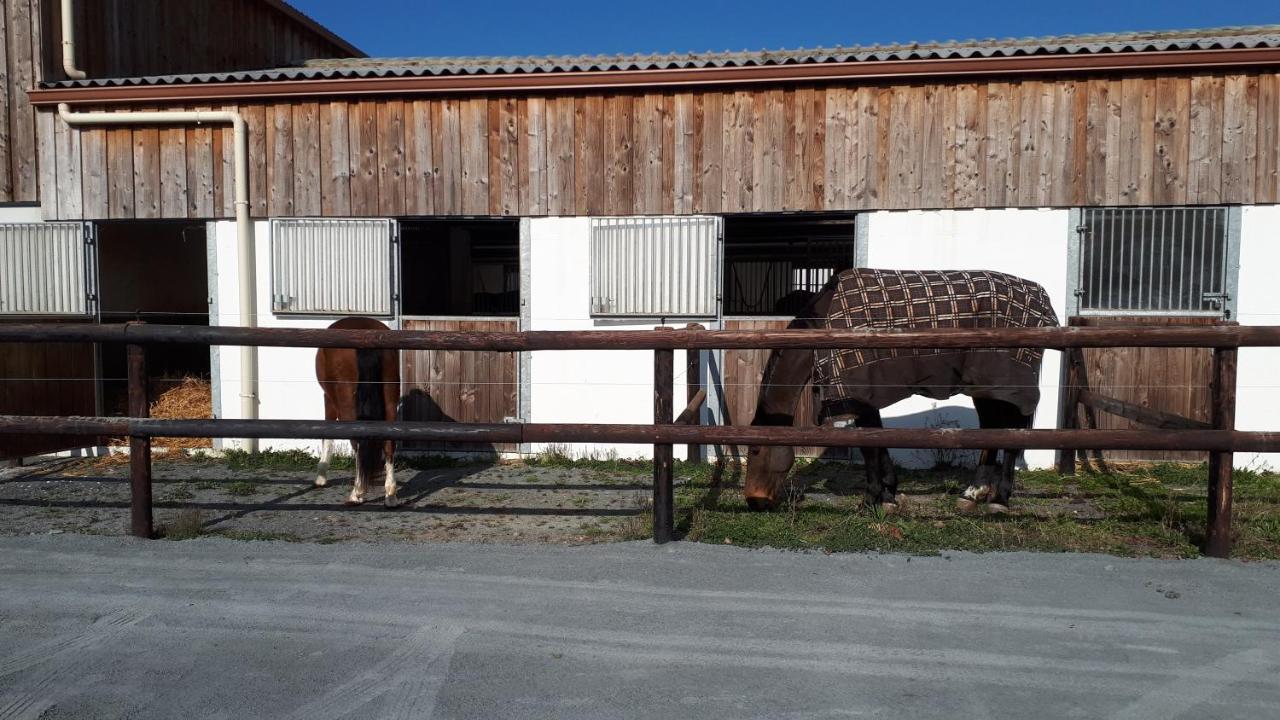 gîte du haras Moult Extérieur photo